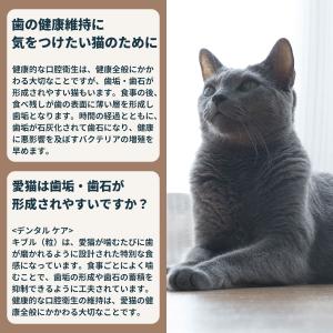 ロイヤルカナン 猫 キャットフード デンタルケ...の詳細画像5