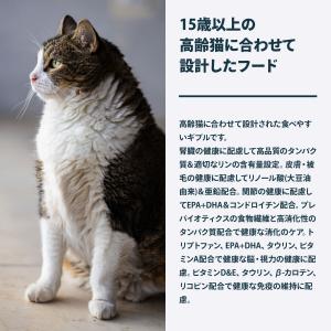 ロイヤルカナン 猫 キャットフード フィーライ...の詳細画像2