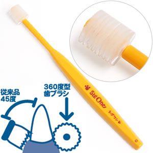 犬の歯ブラシ 人間用の商品一覧 通販 Yahoo ショッピング