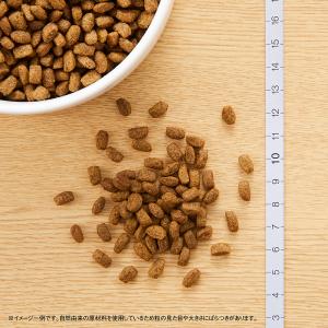 ニュートロ シュプレモ ドッグフード 超小型犬...の詳細画像1