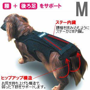 わんコル 持ち手つき Sサイズ : コジコジ - 通販 - Yahoo!ショッピング