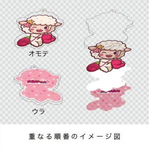 アクリル印刷 詰め放題 定額5000円 A4サ...の詳細画像3