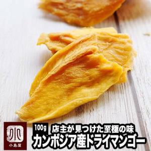 ドライフルーツ マンゴー ドライマンゴー カンボジア産 100g 店主が一番美味いと思う至極のマンゴー 爆買