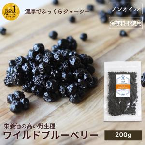 ドライフルーツ ワイルドブルーベリー ドライブルーベリー ノンオイル