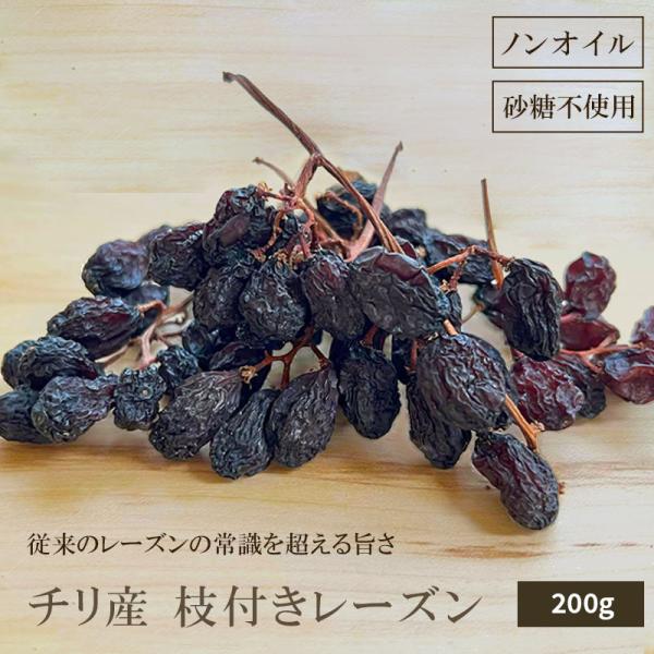 ドライフルーツ レーズン 干しぶどう チリ産 枝付き レーズン 200g ノンオイル 砂糖不使用 干...