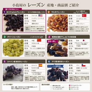 ドライフルーツ レーズン 干しぶどう カリフォ...の詳細画像2