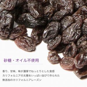ドライフルーツ レーズン 干しぶどう カリフォ...の詳細画像4