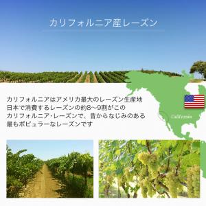 ドライフルーツ レーズン 干しぶどう カリフォ...の詳細画像5