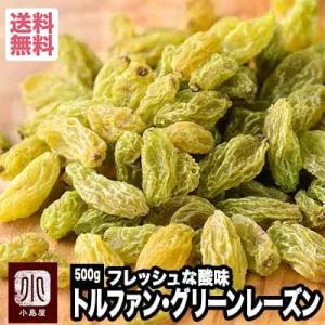 ドライフルーツ レーズン 干しぶどう グリーンレーズン ノンオイル 無添加 500g トルファン 干...