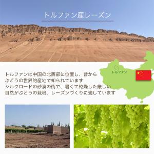 ドライフルーツ レーズン 干しぶどう グリーン...の詳細画像3