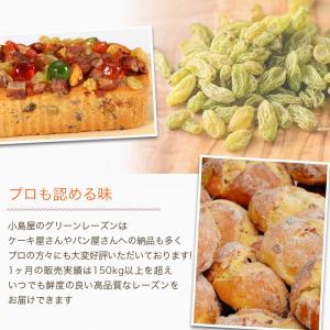 ドライフルーツ レーズン 干しぶどう グリーン...の詳細画像5