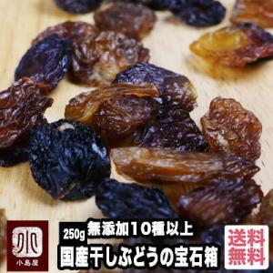 ドライフルーツ レーズン 国産 干しぶどう の 宝石箱 250g 無添加 10種類以上の 葡萄 河内...