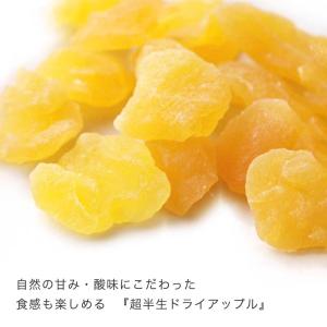 ドライフルーツ りんご ドライアップル 半生仕...の詳細画像2