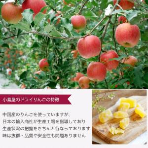 ドライフルーツ りんご ドライアップル 半生仕...の詳細画像3