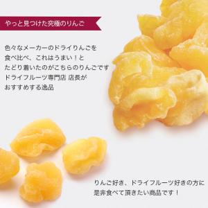 ドライフルーツ りんご ドライアップル 半生仕...の詳細画像5