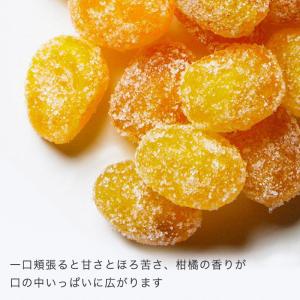 ドライフルーツ きんかん 金柑 ドライ金柑 干...の詳細画像2