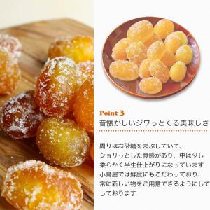 ドライフルーツ きんかん 金柑 ドライ金柑 干...の詳細画像5