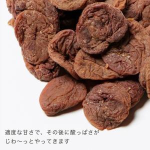 ドライフルーツ 梅干し 干し梅 ほし梅 種抜き...の詳細画像2
