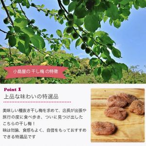 ドライフルーツ 梅干し 干し梅 ほし梅 種抜き...の詳細画像3