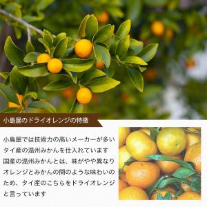 ドライフルーツ ドライオレンジ ドライみかん ...の詳細画像3
