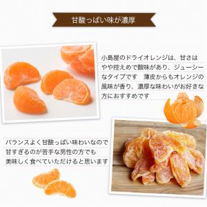 ドライフルーツ ドライオレンジ ドライみかん ...の詳細画像4