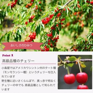 ドライフルーツ ドライチェリー タートチェリー...の詳細画像3