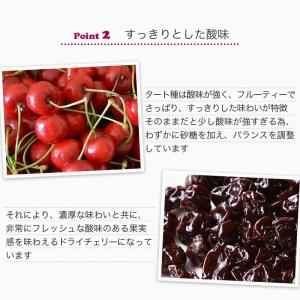 ドライフルーツ ドライチェリー タートチェリー...の詳細画像4