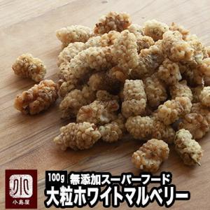 ドライフルーツ マルベリー ホワイトマルベリー 桑の実 イラン産 100g 無添加 砂糖不使用 スー...