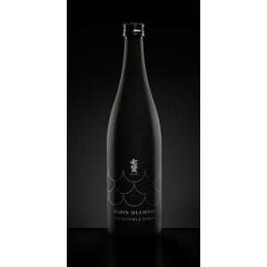 早瀬浦 本醸造 1800ml 2本 化粧箱入り 一升瓶 三宅彦右衛門酒造 若狭