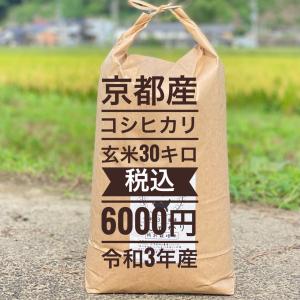 最終セール6000円 税込 コシヒカリ 玄米 30キロ 令和3年産 特別栽培米