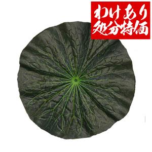 盆用品 お供え用 ハスの葉（大）約29cm 布製 蓮の葉 蓮葉 はすの葉