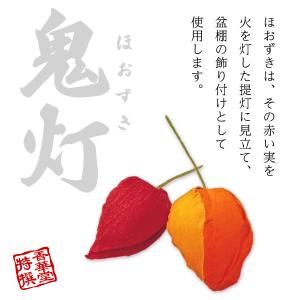 盆用品 祭壇用品 お盆飾り用品 鬼灯 ほおずき...の詳細画像1