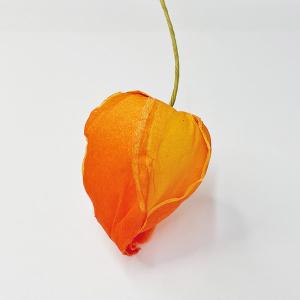 盆用品 祭壇用品 お盆飾り用品 鬼灯 ほおずき...の詳細画像4