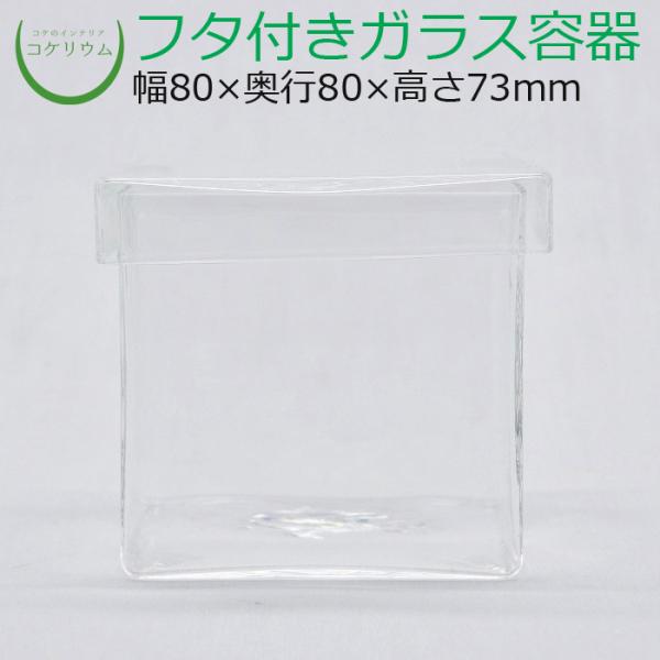 (ガラス容器 容器 観葉植物 おしゃれ ミニ テラリウム コケリウム 苔 コケ 苔テラリウム 苔リウ...