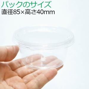 (観葉植物 おしゃれ ミニ テラリウム コケリ...の詳細画像2