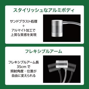 (観葉植物 おしゃれ テラリウム コケリウム ...の詳細画像3