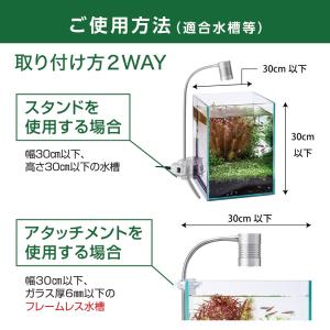 (観葉植物 おしゃれ テラリウム コケリウム ...の詳細画像4