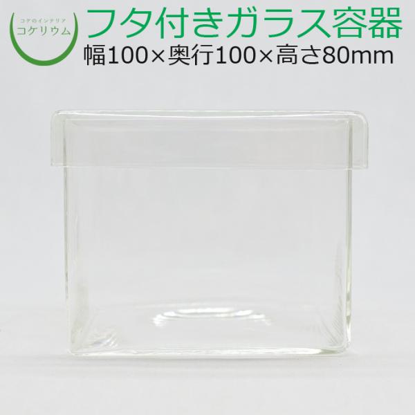 (ガラス容器 容器 観葉植物 おしゃれ ミニ テラリウム コケリウム 苔 コケ 苔テラリウム 苔リウ...