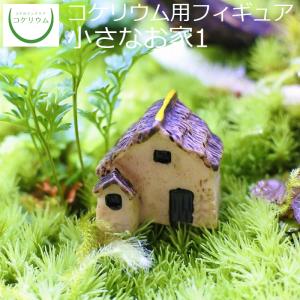 (観葉植物 おしゃれ ミニ テラリウム フィギュア コケリウム 苔 コケ 苔テラリウム 苔リウム アクアリウム インテリア) コケリウムフィギュア 小さなお家1