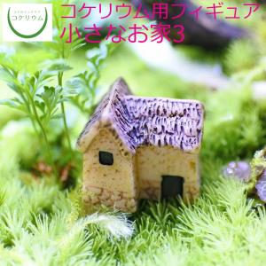 (観葉植物 おしゃれ ミニ テラリウム フィギュア コケリウム 苔 コケ 苔テラリウム 苔リウム アクアリウム インテリア) コケリウムフィギュア 小さなお家3