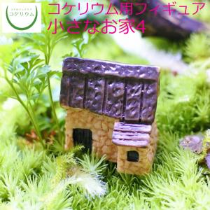 (観葉植物 おしゃれ ミニ テラリウム フィギュア コケリウム 苔 コケ 苔テラリウム 苔リウム アクアリウム インテリア) コケリウムフィギュア 小さなお家4