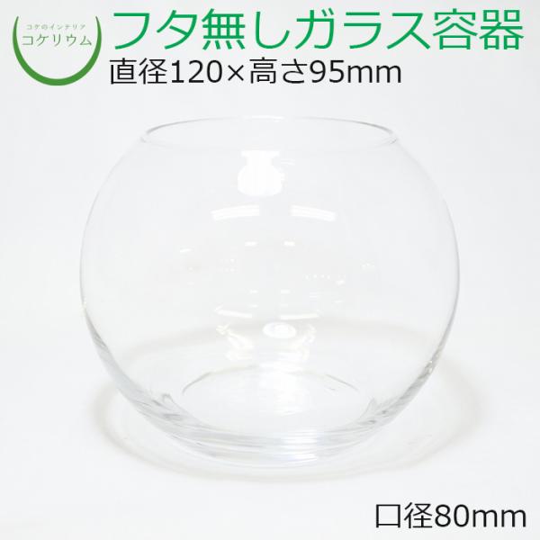 (ガラス容器 容器 観葉植物 おしゃれ ミニ テラリウム コケリウム 苔 コケ 苔テラリウム 苔リウ...