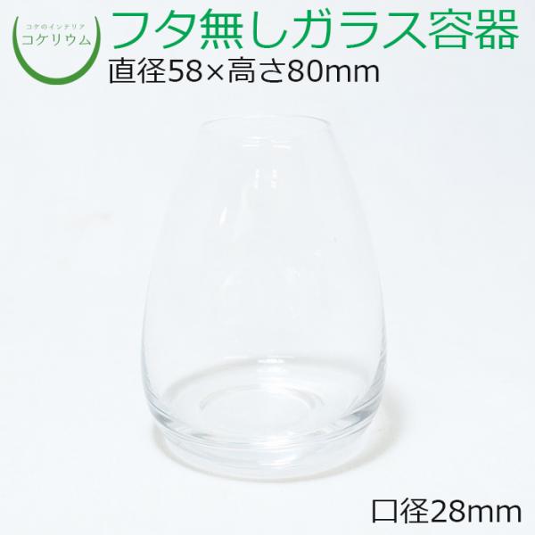 (ガラス容器 容器 観葉植物 おしゃれ ミニ テラリウム コケリウム 苔 コケ 苔テラリウム 苔リウ...