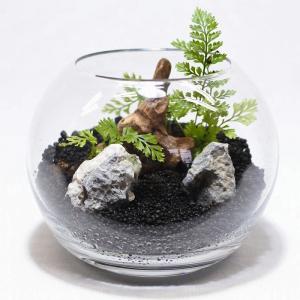 (観葉植物 おしゃれ ミニ テラリウム キット...の詳細画像5