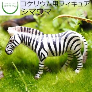 観葉植物 ミニ テラリウム フィギュア コケリウム 苔 コケ 苔