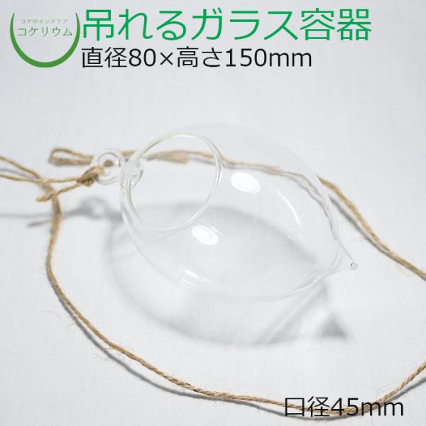 (ガラス容器 容器 観葉植物 おしゃれ ミニ テラリウム コケリウム 苔 コケ 苔テラリウム 苔リウ...