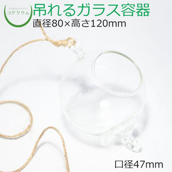 (ガラス容器 容器 観葉植物 おしゃれ ミニ テラリウム コケリウム 苔 コケ 苔テラリウム 苔リウ...