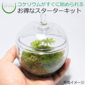 日本製 生け花 剣山 落とし花止め 黒 小 水止め剣山 落とし剣山 底付き