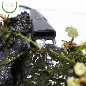 アクアテラリウムセット フィルター ポンプ ろ材 水槽 アクアリウム用品 の商品一覧 熱帯魚 アクアリウム用品 ペット用品 生き物 通販 Yahoo ショッピング