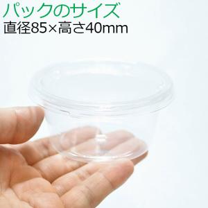 (観葉植物 おしゃれ ミニ テラリウム コケリ...の詳細画像2